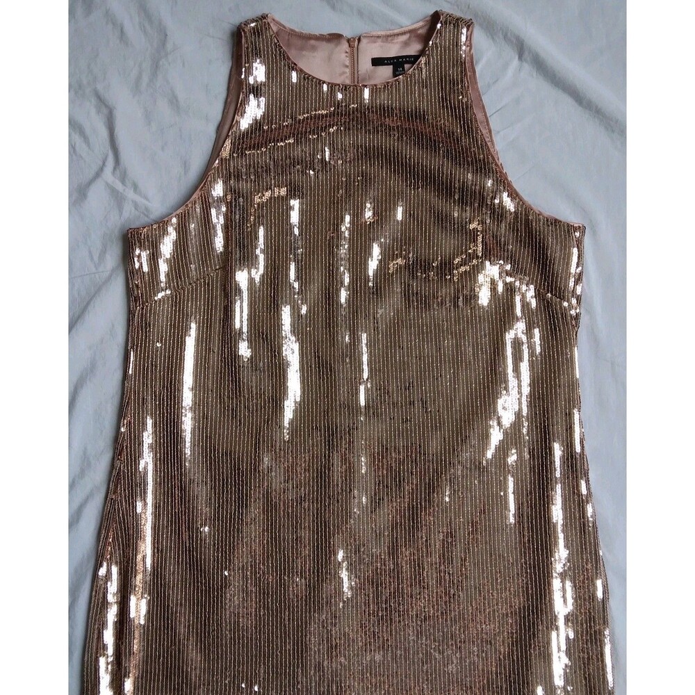 Flapper Dress Lined Champagne Pink 1920s Style Gatsby Sequins Fringe Size 14 - Picture 2 of 11
